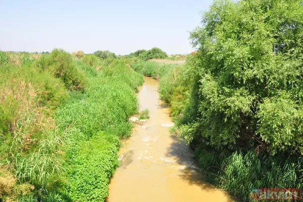 Manisa'da Nif Çayı'nın rengi kırmızıya döndü! İşte nedeni: iki noktadan kamyonla atık döküldü - 2