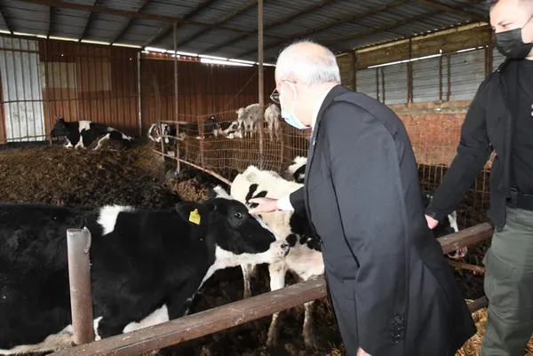 chp-genel-baskani-kemal-kilicdaroglu-tekirdagda-inekleri-sevdi-1616075340538.jpg