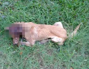 Bakın nasıl değiştiler?