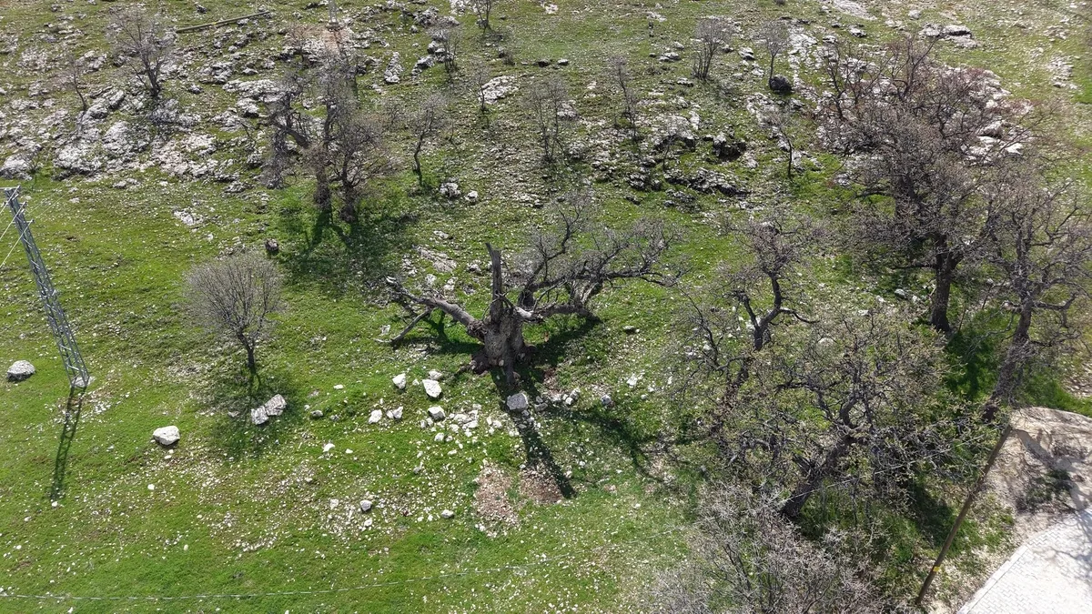 gulistan-dokunun-mezari-40-kilometrelik-alanda-arandi-1777037432551.jpeg Gülistan Doku soruşturmasında 17 noktada 40 kilometrelik alan tarandı-6