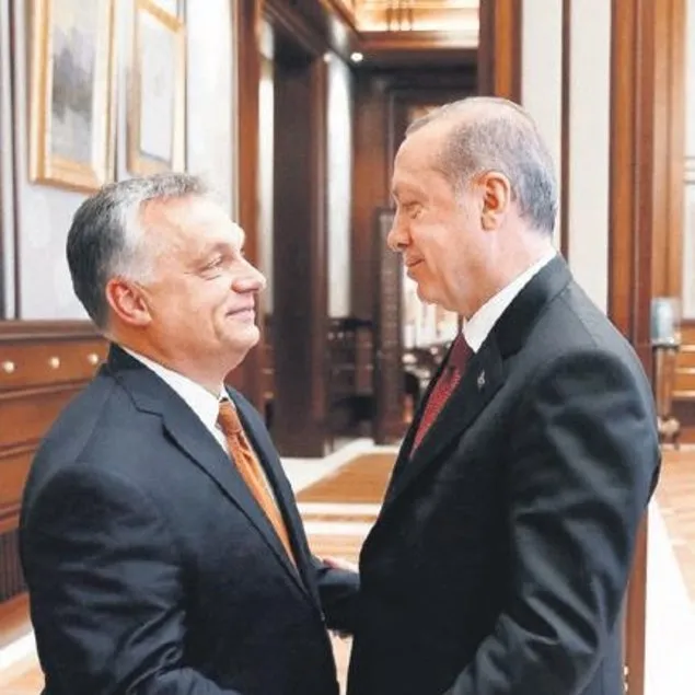 Tarihi dostluk
