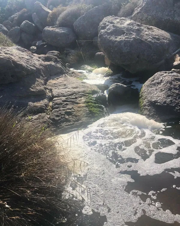 CHP'li belediyeden çevre katliamı! Pis sular 'kesin korunacak alan' ilan edilen Küdür Koyu'na akıyor-3