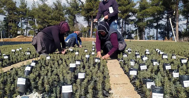 Asrın felaketinde hayatını kaybedenlerin isimleri fidanlarda yaşatılacak!