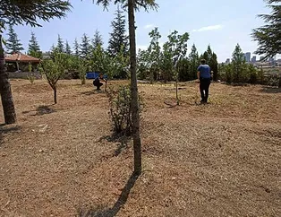 Sır cinayeti Baron çözdü! Toprağa gömülü bulundu