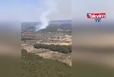 İzmir Bergama'da yangın! İlk görüntü!
