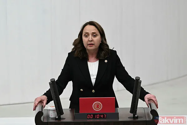 Türkiye Büyük Millet Meclisi'nde yeni dönem başladı! Milletvekilleri yemin ediyor… - 25