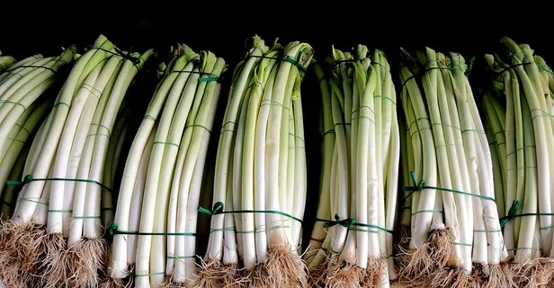 Pırasa nelere iyi gelir? Faydaları nelerdir?