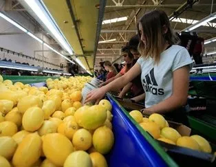 Limon ihracatında ön izin kalktı