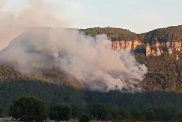 Karabük’te orman yangını