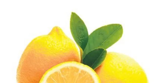 Günde 1 limon böbrek taşına son