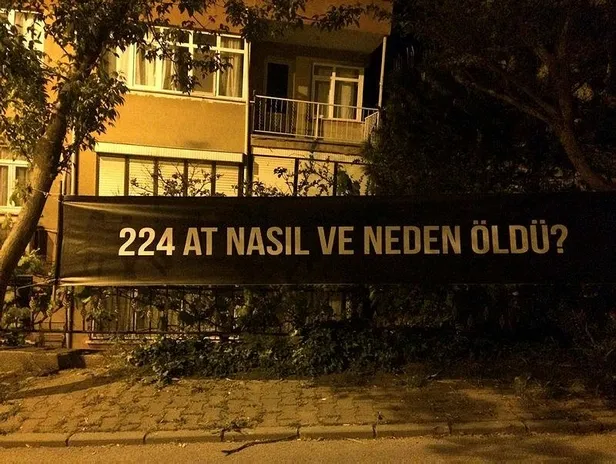 adalarda-hayvanseverler-ibbye-kayip-atlarin-akibetini-soran-tepki-pankartlari-asti-hani-atlar-size-emanetti-1620661245328.jpeg Adalar'da hayvanseverler İBB'ye kayıp atların akıbetini soran tepki pankartları astı! Hani atlar size emanetti?-2