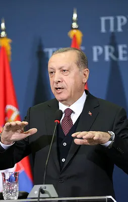 Erdoğan ve Vuçiç'ten ortak açıklama