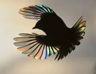 İşte en iyi vahşi yaşam fotoğrafları