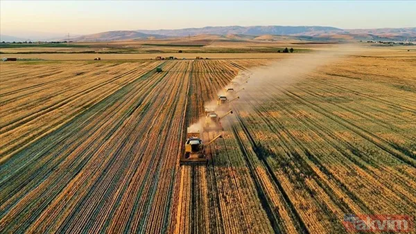 Hangi Bölgelerde Arazi Var? Komisyonlar Tarafından Yapılan İncelemeler Sonucunda Antalya'da 4 Bin 300 Dekar, Konya'da 10 Bin Dekar Ve Kayseri'de 1.650 Parsel...