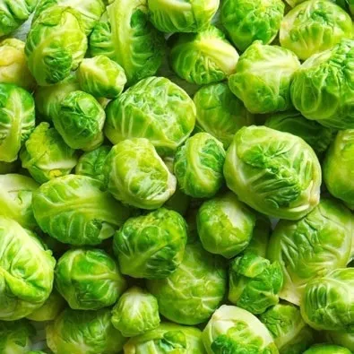 Lahana katarakttan korkma