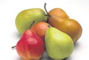 Armutun sağlığa etkileri dikkat çekiyor