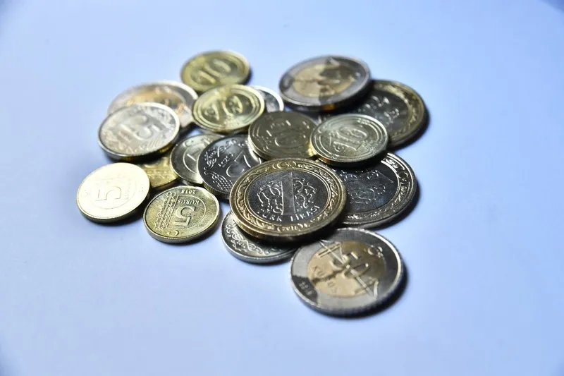 5-kurusa-yakindan-bakin-bozuk-paranin-sagini-kaplayan-o-motif-aslinda-1715947922222.jpg 5 kuruşa yakından bakın! Bozuk paranın sağını kaplayan o motif aslında...-2