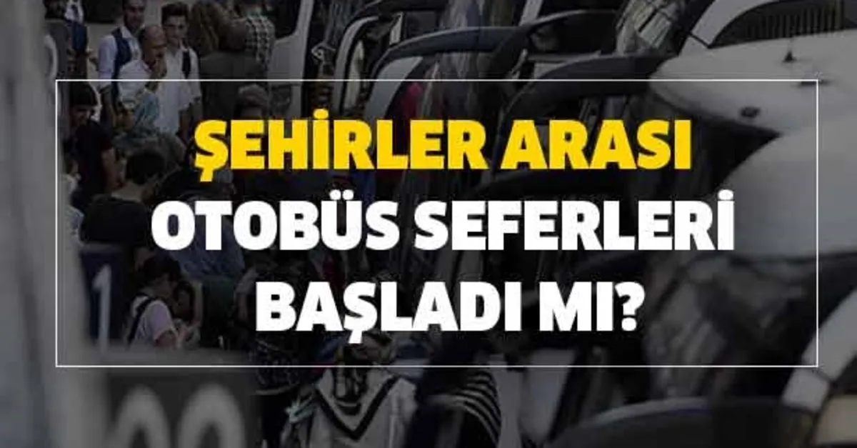 Bus Simulator Ultimate Erzurum Ordu Seferi Yaptik Youtube