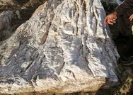 Son dakika: Erzurum’da yine altın madeni bulundu!