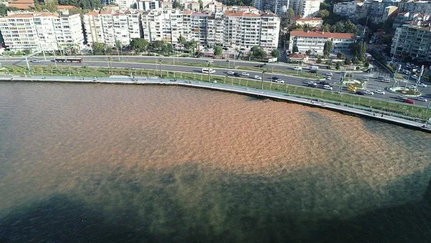 Son dakika: İzmir'de su borusunun patlaması nedeniyle denizin rengi değişti-2