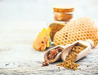 KOAH’ın ilacı propolis