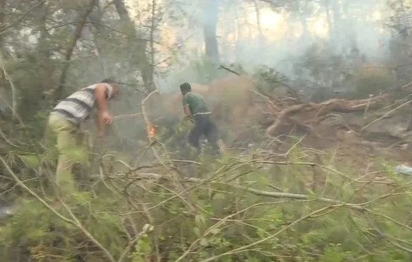 suriyeli-hasan-izmirdeki-yangini-sondurmek-icin-elleriyle-toprak-tasidi-1596318791686.jpeg Suriyeli Hasan İzmir'deki yangını söndürmek için elleriyle toprak taşıdı!-2