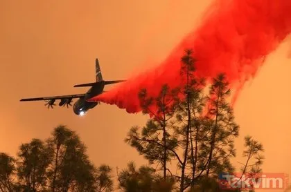 ABD’nin California eyelatinde söndürülemeyen orman yangınları nedeniyle olağanüstü hal ilan edildi