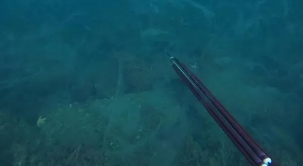 Müsilajın deniz altındaki tahribatı görüntülendi: Seviniyorduk ama felaketin habercisiymiş!-6