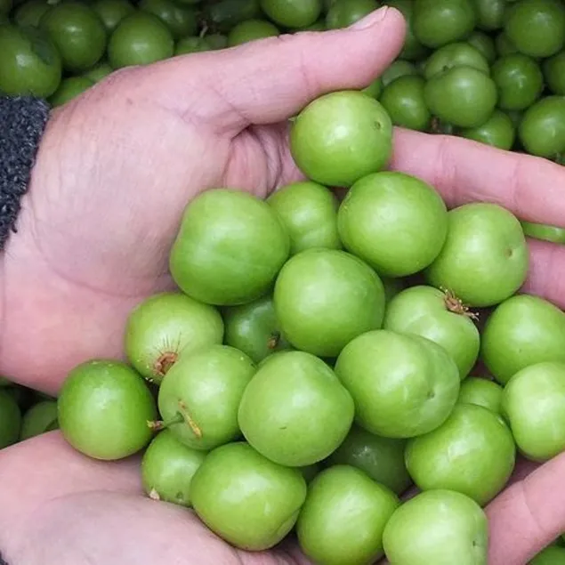 Sağlık için çok g’erik’li!