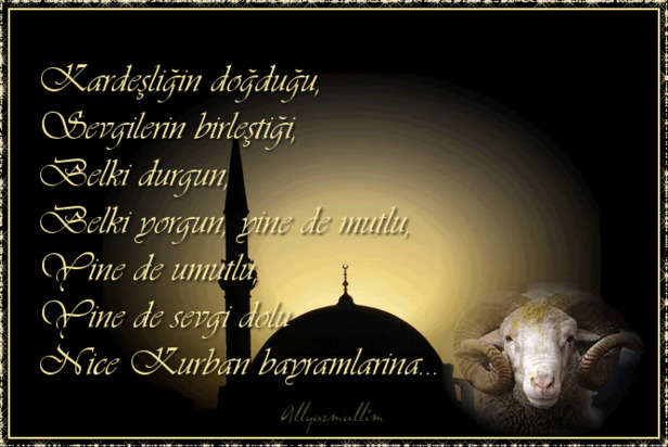 anneye babaya sevgiliye en yeni kurban