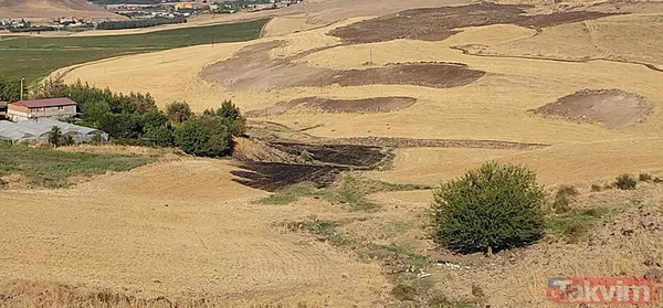 Narin Güran cinayetinde flaş gelişme! 29 Ağustos tarihinde görüntülenmiş! Karartılan deliller ortaya mı çıktı? - 9