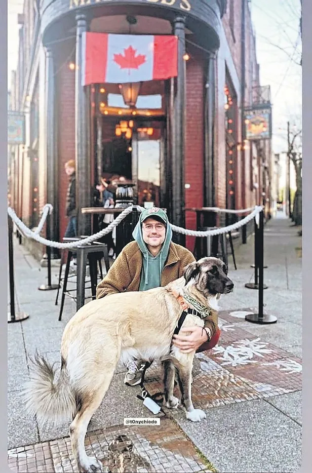 1654552902204.jpeg İstanbul'a turist olarak gelen Tony hikayesinden çok etkilendiği köpek Helly'i Amerika'ya götürdü-4