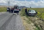 İki kardeşe pusu kurup öldürdü!