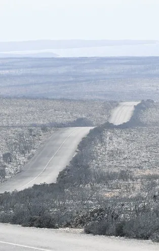 Avustralya’daki yangınlarda 33 kişi hayatını kaybetti,1 milyar 250 milyon hayvan telef oldu