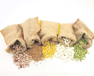 Bakliyat tok tutuyor