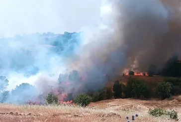 Malatya ve Bolu’da orman yangını alarmı! Pütürge ve Göynük’teki yangınlar kontrol altına alındı