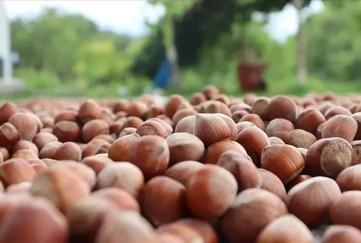 Diyabet için fındık