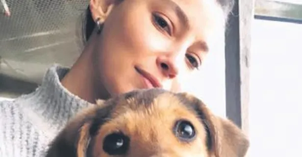 Uzmanlığı hayvan aşkı