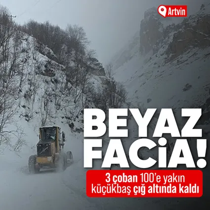 Artvin'de Ardanuç'ta çığ: 3 çoban mahsur kaldı!