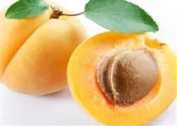 Kayısı çekirdeği hayatını kararttı