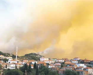 İzmirde korkutan yangın