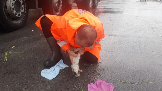 Pendik'te boğulan yavru kediyi suni solunumla hayata döndürdü-1
