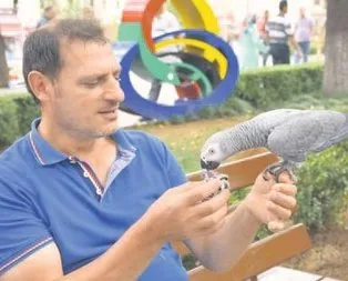Paşa arkadaş