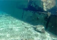 Son dakika: Bodrum’da denizin dibine metrelerce duvar! Bakanlık harekete geçti