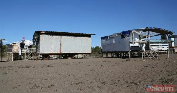 Antalya Aksu Kumköy Sahili'nde doğa katliamı! Kaçak barakalar yüzünden caretta carettaların yumurtalarının yüzde 56,9'u bozuk çıktı - 16