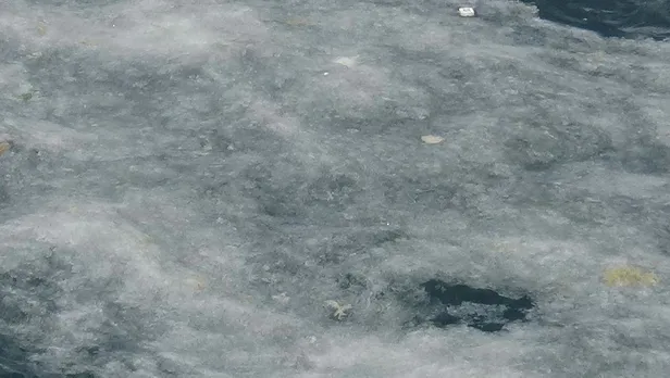 SON DAKİKA: Çanakkale Boğazı'nda denizi kaplayan 'müsilaj' balıkçının kabusu oldu: Üç aydır denize çıkmıyorum-5