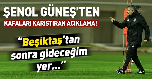 Şenol Güneş: Milli takıma gidebilirim