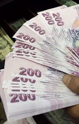 DEİK'ten Türk Lirasına destek