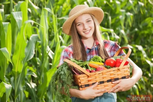 Çiftçiye mazot, yem ve gübre desteği! Tarım ve Orman Bakanı Vahit Kirişci açıkladı! Nasıl yararlanılacak? İşte detaylar... - 17