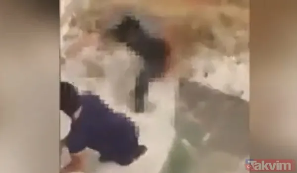 Timsahla ölümcül selfie! Fotoğraf çekmek için suya girdiği anda talihsiz adam... - 4